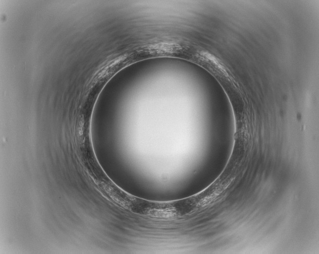 X0000060750548200511101118