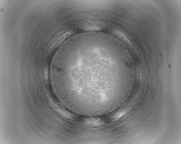 X0000060750549200511101118