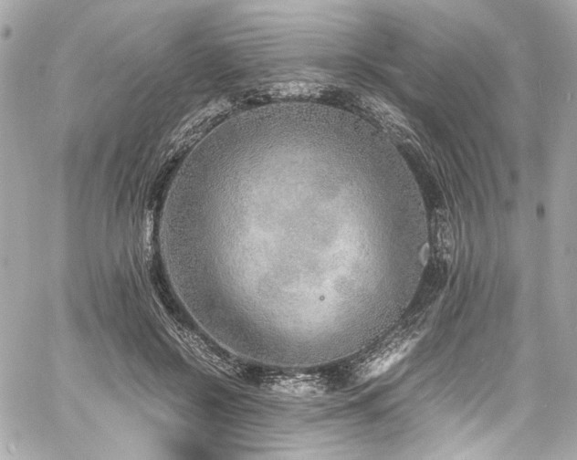 X0000060750550200511101118