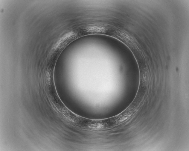 X0000060750551200511101118