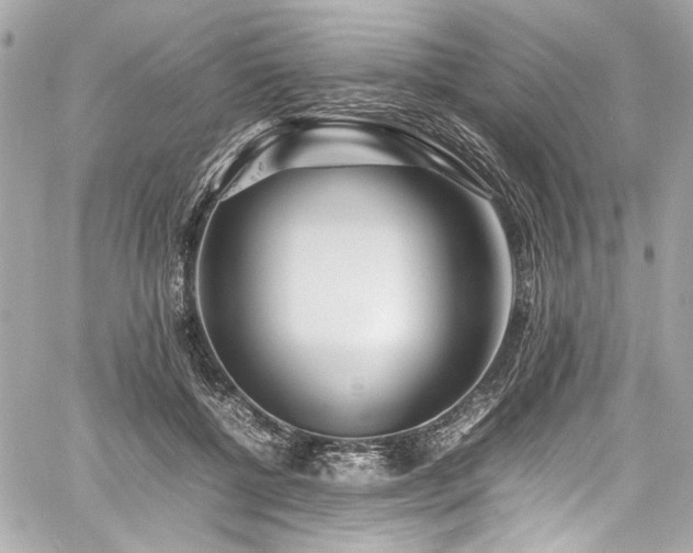 X0000060750552200511101118