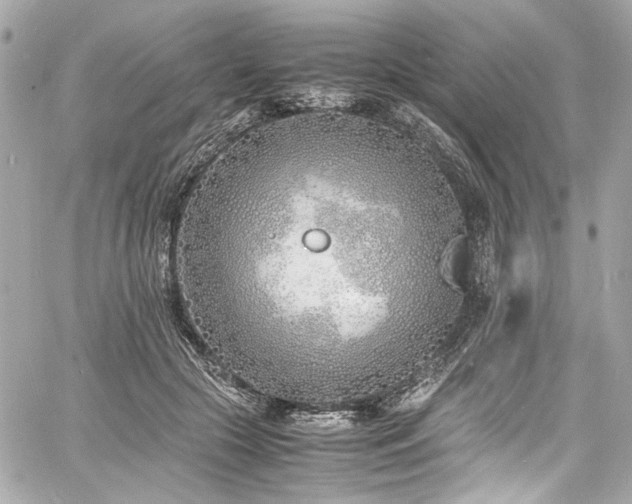 X0000060750553200511101118