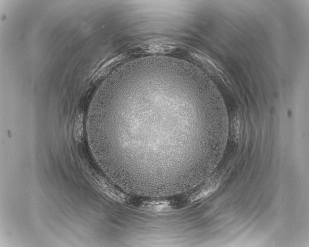 X0000060750554200511101118