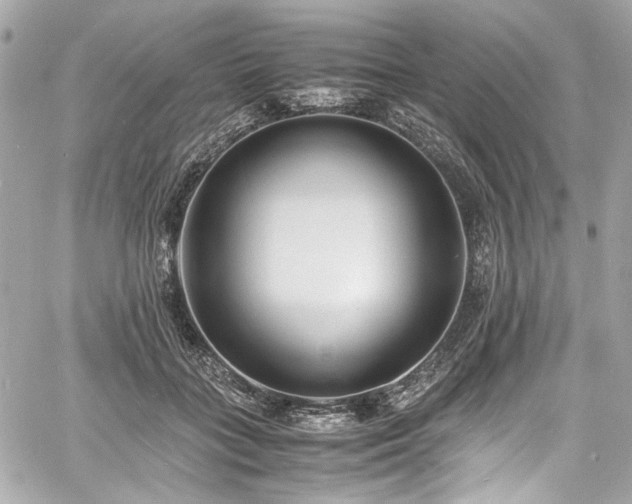 X0000060750555200511101118