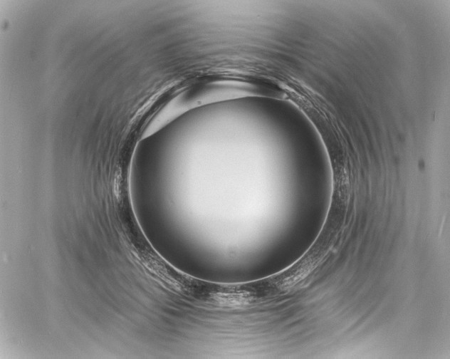 X0000060750556200511101118