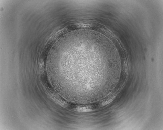 X0000060750557200511101118