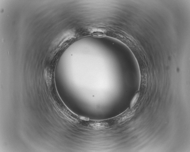 X0000060750558200511101118