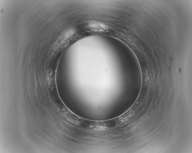 X0000060750559200511101118