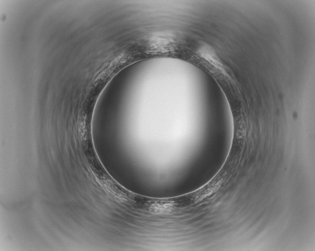 X0000060750560200511101118