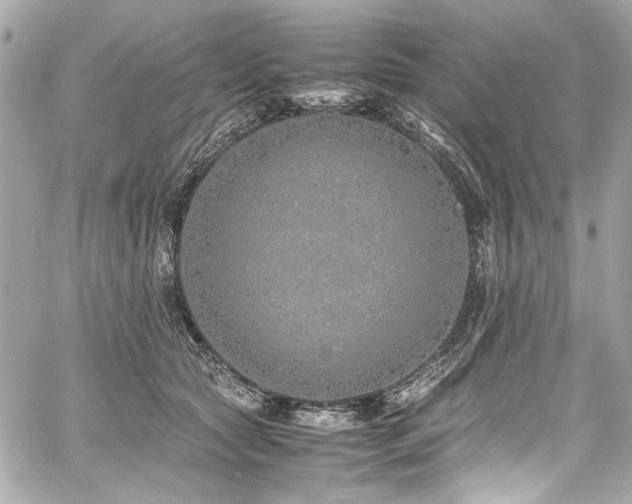 X0000060750561200511101118