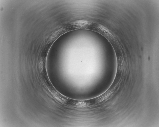 X0000060750562200511101118