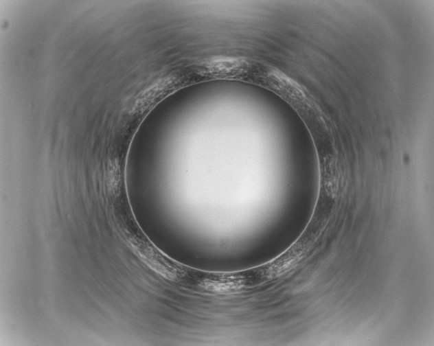 X0000060750563200511101118