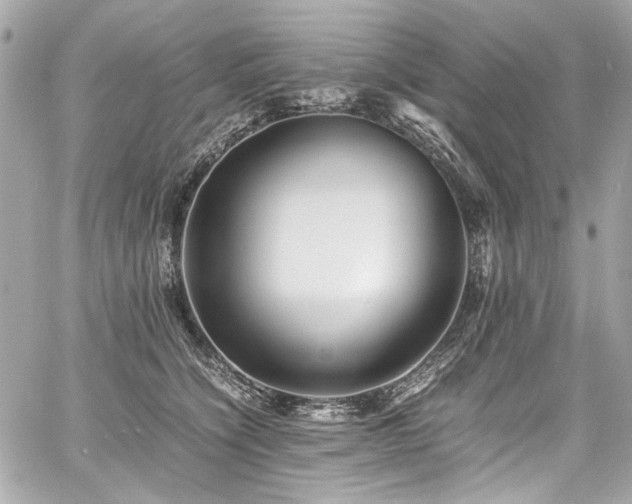 X0000060750564200511101118