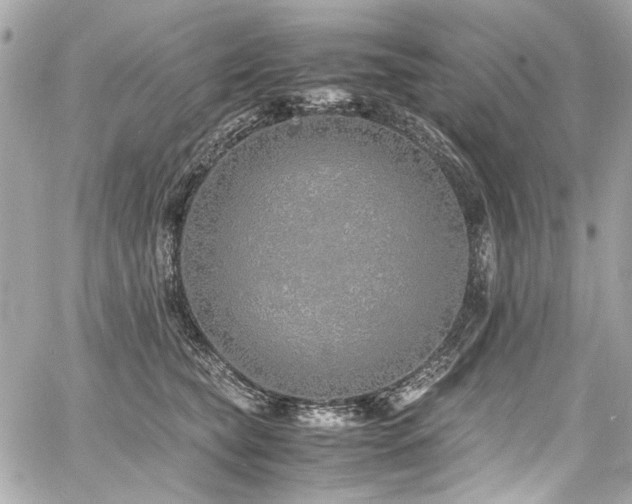 X0000060750565200511101118