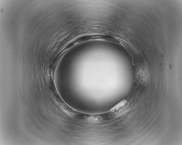 X0000060750566200511101118