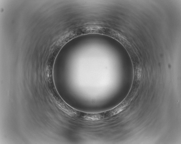 X0000060750567200511101118