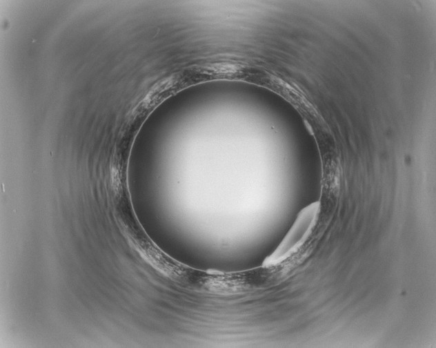 X0000060750568200511101118