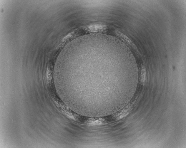 X0000060750569200511101119