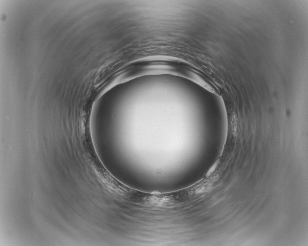 X0000060750570200511101119