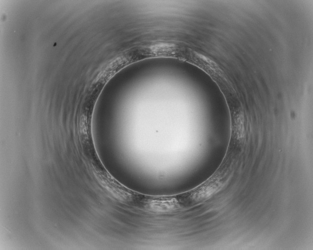 X0000060750571200511101119