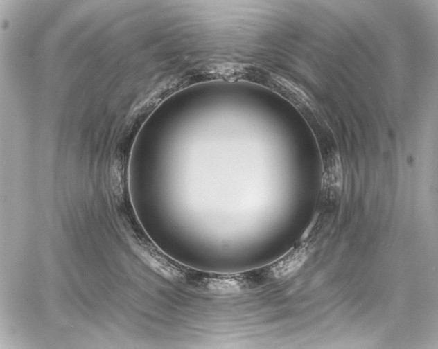 X0000060750572200511101119