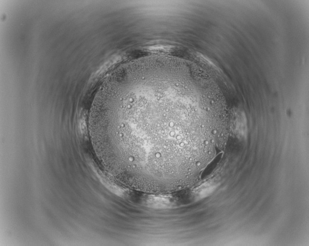 X0000060750573200511101119