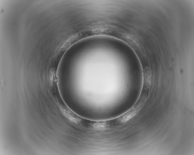 X0000060750574200511101119