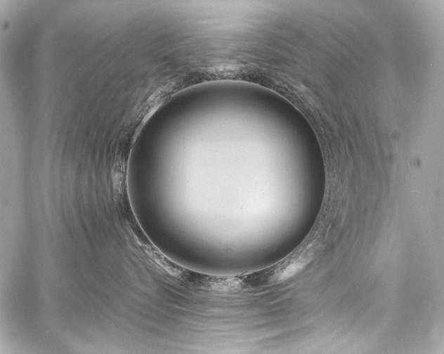 X0000060750576200511101119