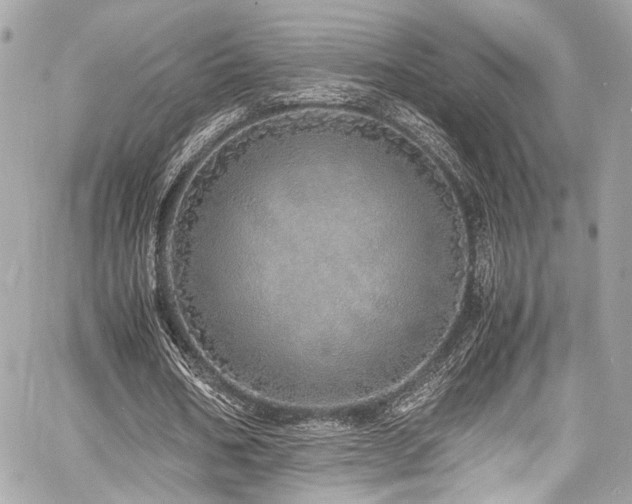 X0000060750578200511101118