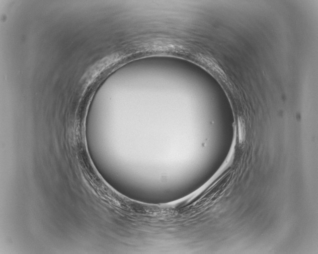 X0000060750579200511101118