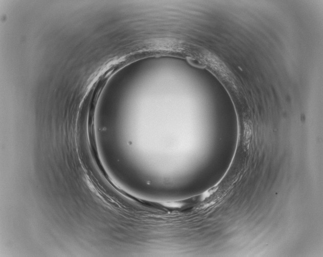 X0000060750580200511101118