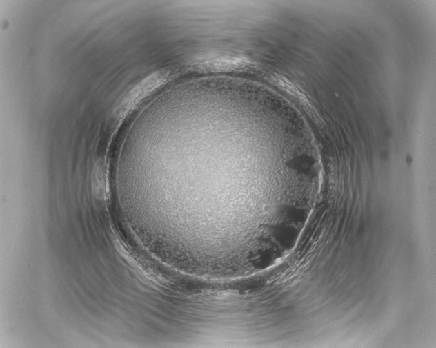 X0000060750582200511101118