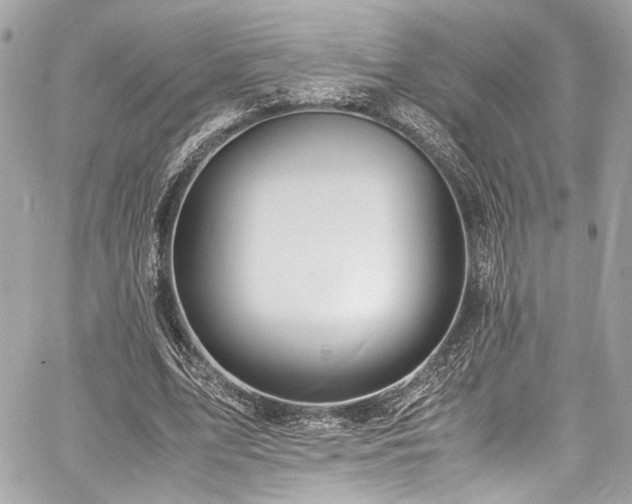 X0000060750583200511101118