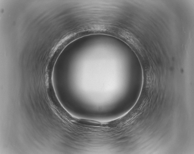 X0000060750584200511101118