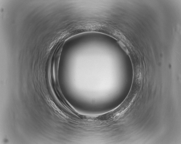 X0000060750585200511101118