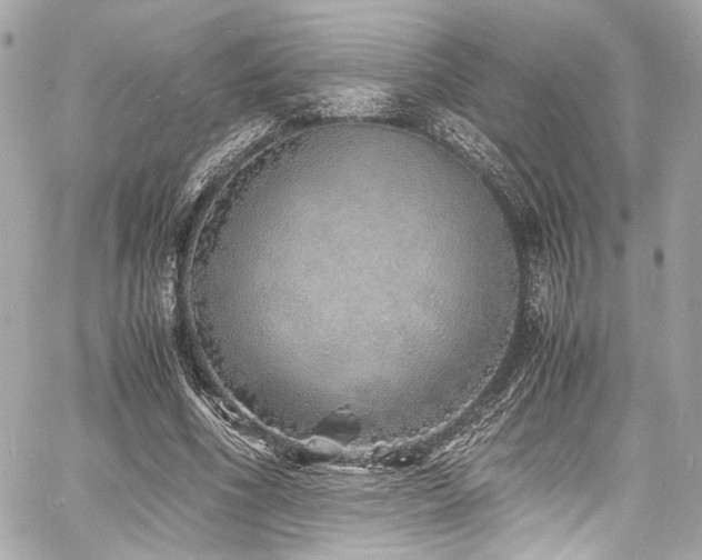 X0000060750586200511101118