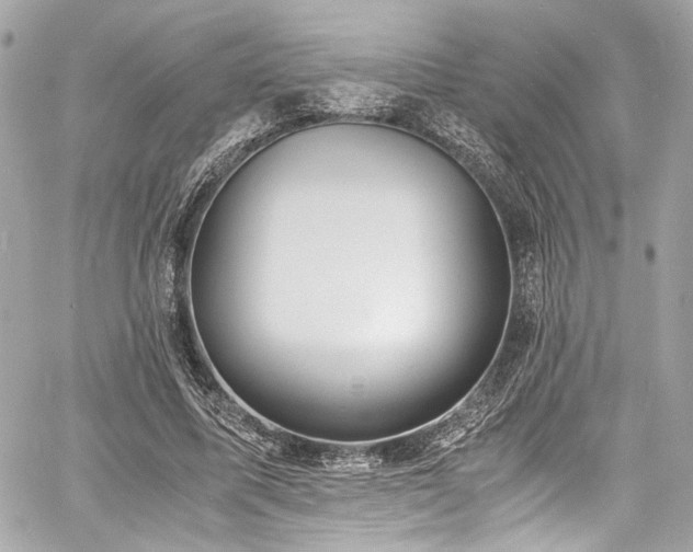 X0000060750587200511101118