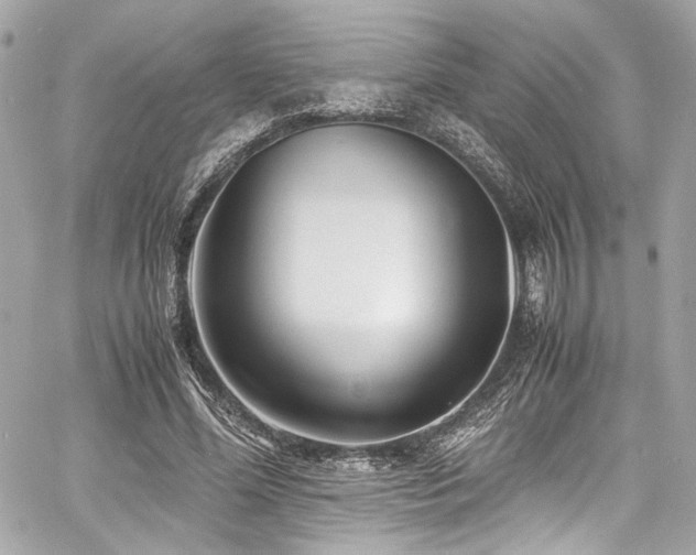 X0000060750588200511101118