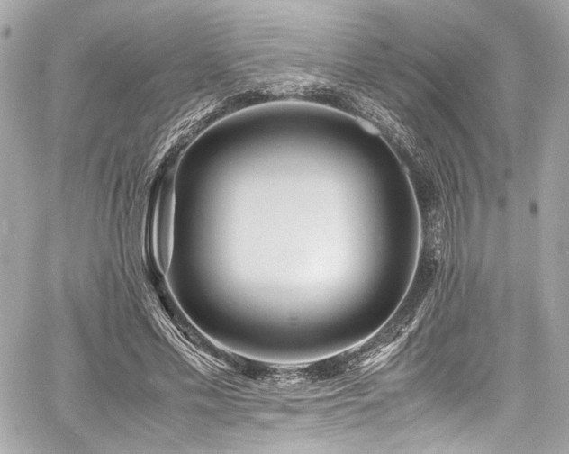 X0000060750589200511101118