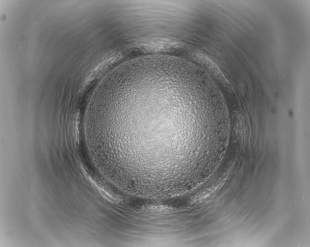 X0000060750590200511101118