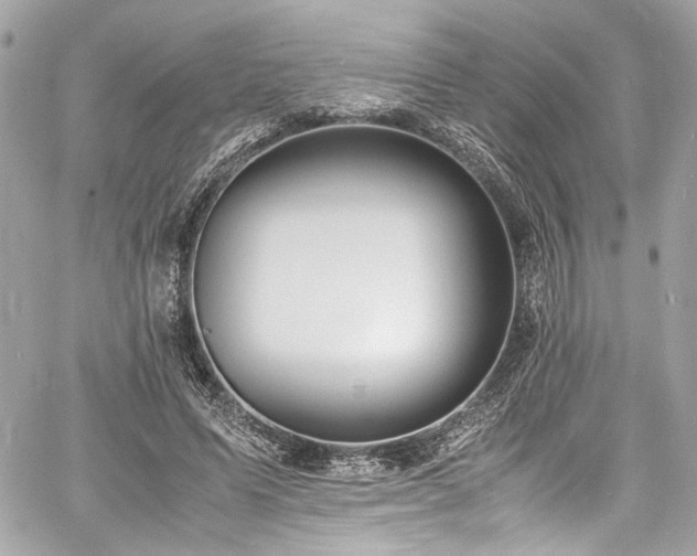 X0000060750591200511101118