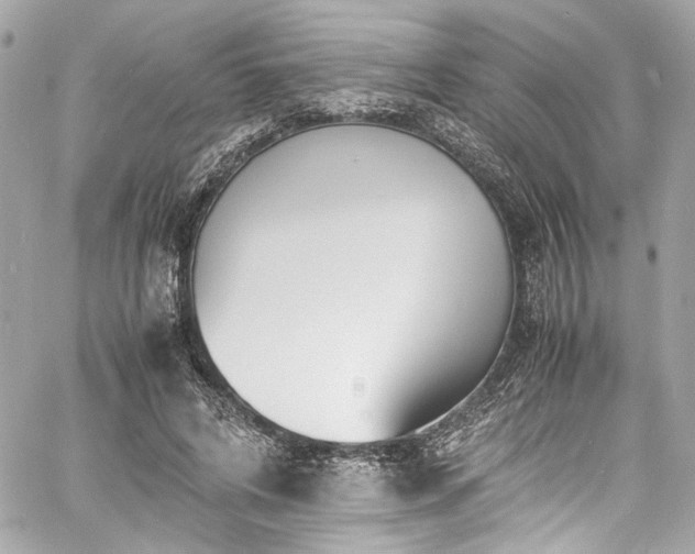 X0000060750592200511101118