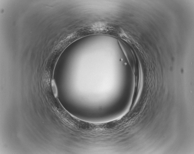 X0000060750593200511101118