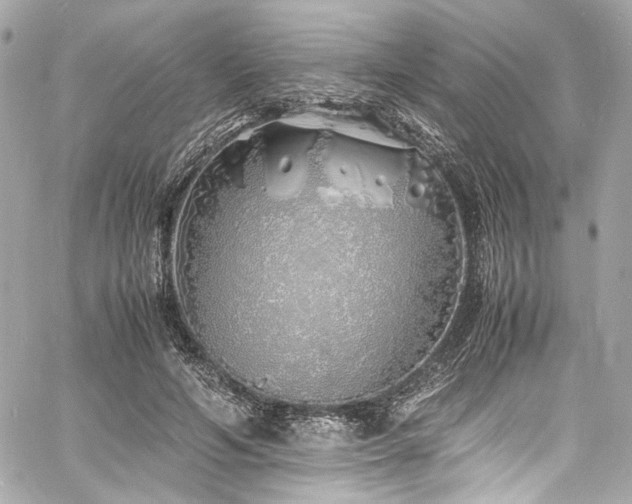 X0000060750594200511101118