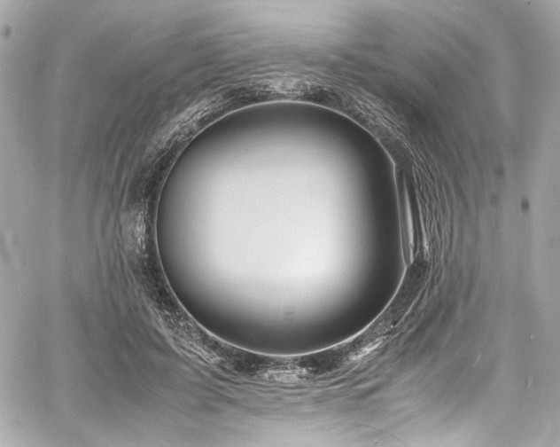 X0000060750595200511101118