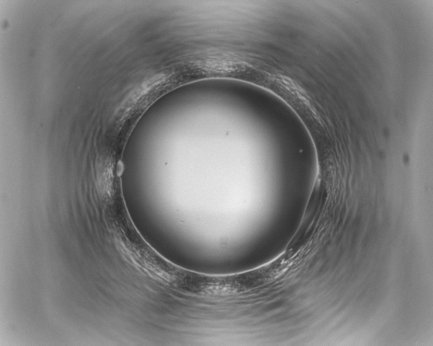 X0000060750596200511101118