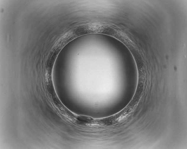 X0000060750597200511101117