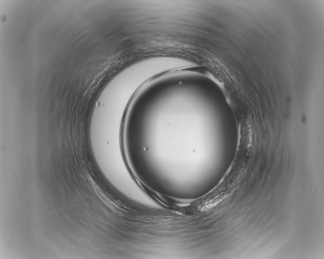 X0000060750598200511101117