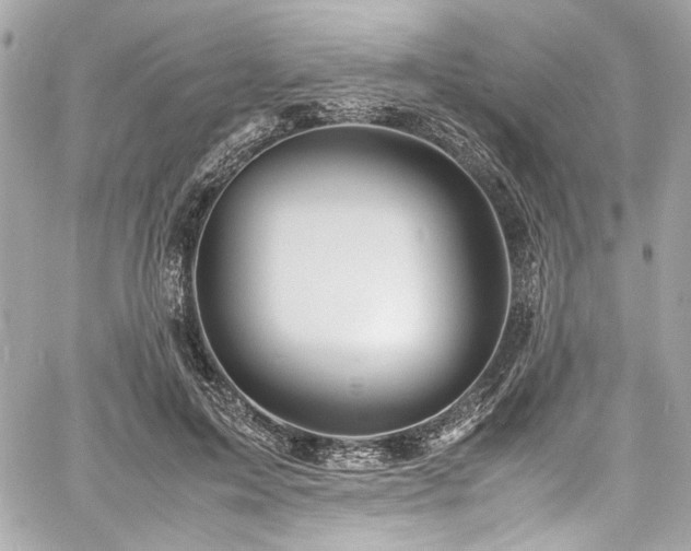 X0000060750599200511101117