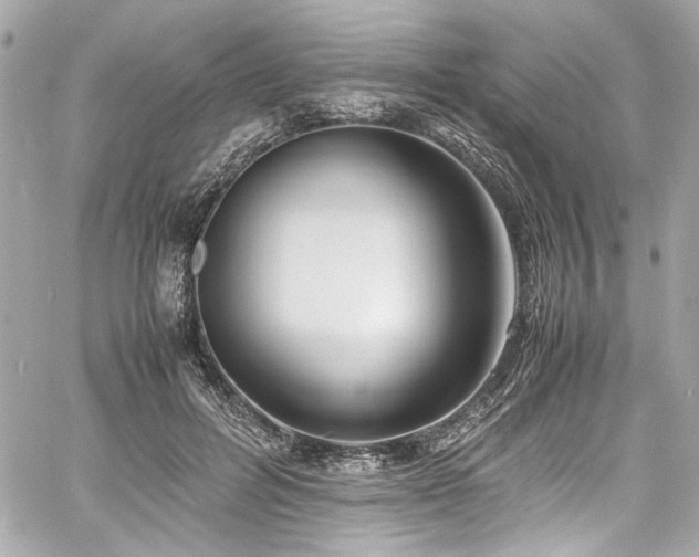 X0000060750600200511101117